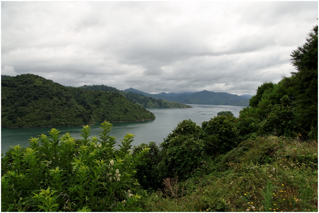 12 - Queen Charlotte  (00).jpg